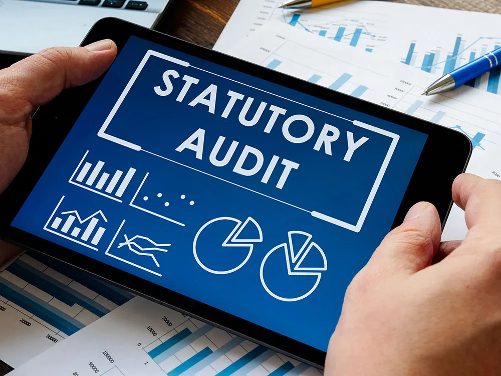 Statutory Audit