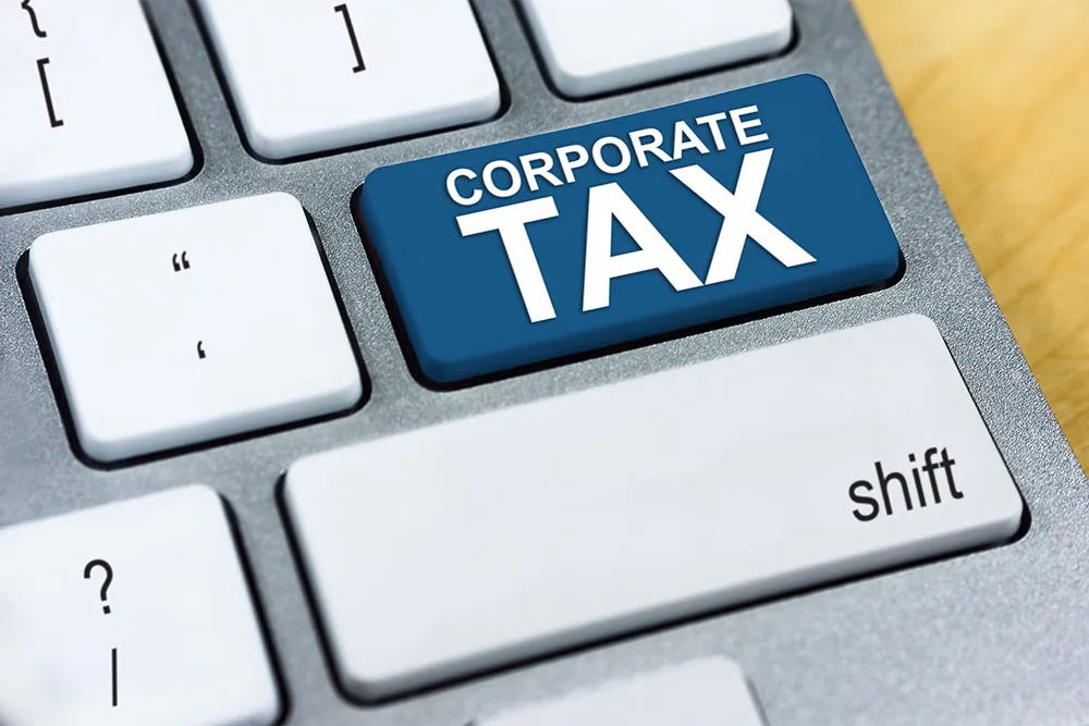 Professional tax consultant in Dubai offering business tax advisory