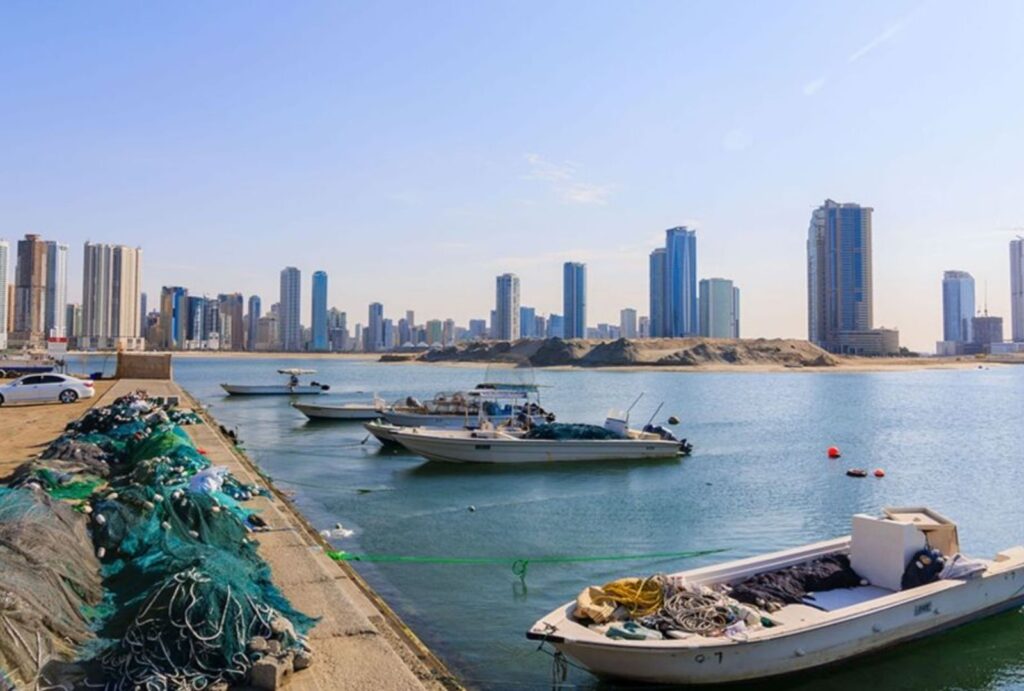 Ajman vs. Sharjah vs. RAK: A 2025 Cost Comparison Guide for Strategic Business Setup