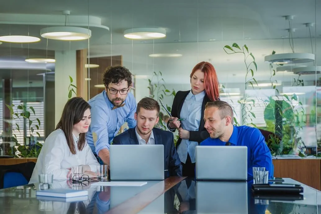 Group of professionals working together on laptops in an office.